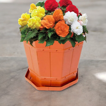 Ghiveci rustic 32 Litri din plastic cu tavă ideal pentru Plantele Tale de Dimensiuni Mari