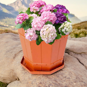 Ghiveci Rustic 22 Litri din Plastic cu Tavă Soluția Perfectă pentru Plantele Tale