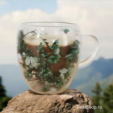Set 12 cesti cafea Pereti Dubli Sticla Termorezistenta, Model Flori Uscate Verde, 250 ml