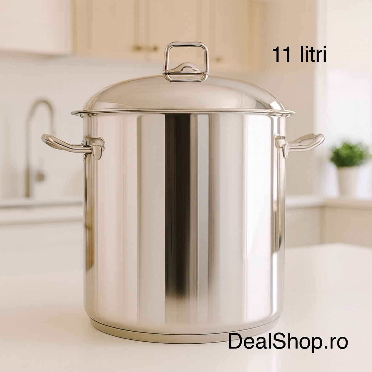 Oala inox Arian 11 litri cu capac fund dublu 24 cm – Ideala pentru gatit Cantitati Mari