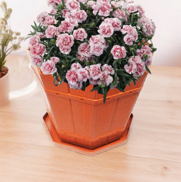 Ghiveci 5 Litri din Plastic Model Rustic Perfect pentru Plantele Tale Preferate