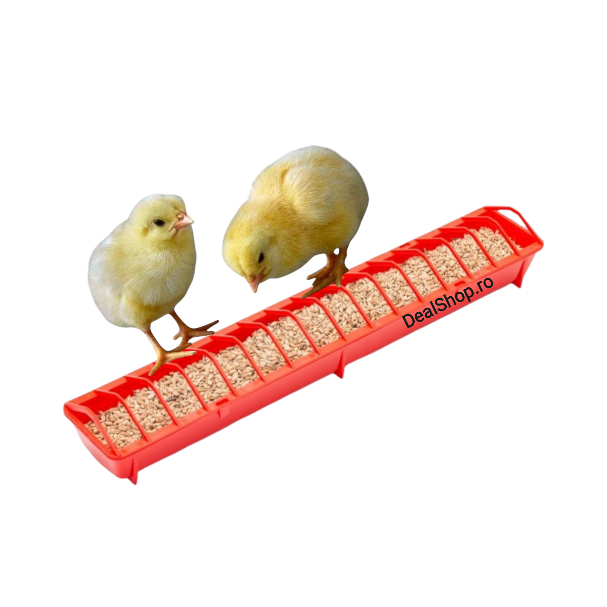 Hranitoare din plastic pentru pui 50 cm capacitate 1,5 litri