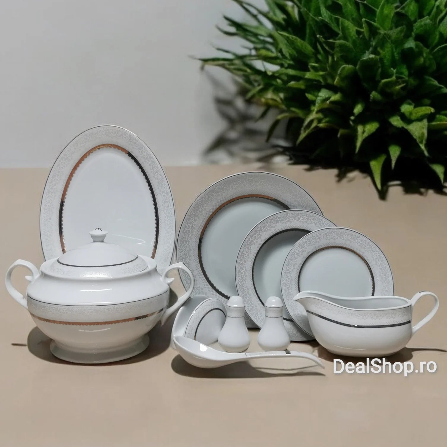 Serviciu de Masa din Portelan pentru 12 Persoane 44 Piese Rawi 102