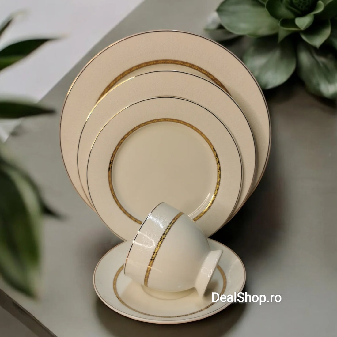 Set masa portelan 6 persoane 30 piese Rawi 101 serviciu masa portelan Cadoul perfect
